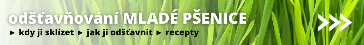 odšťavňování mladé pšenice