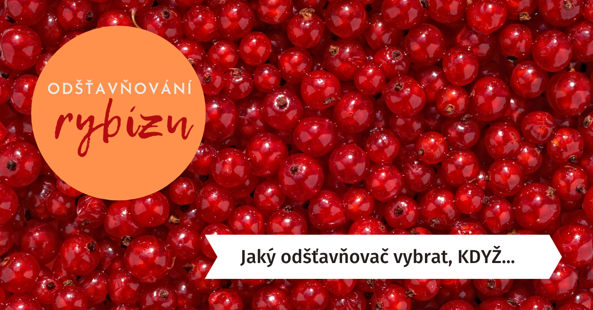 Odšťavňování rybízu | Jak na to s různými odšťavňovači