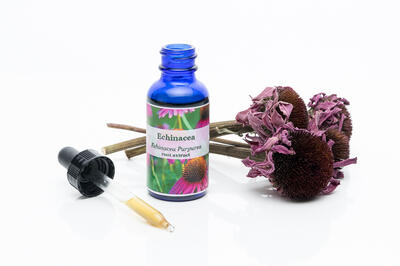 Echinacea Echinacea