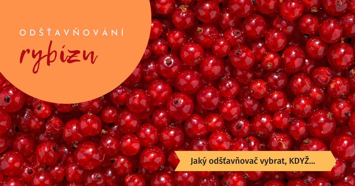 Odšťavňování rybízu | Jak na to s různými odšťavňovači