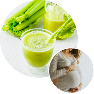 můžu pít celerovou šťávu v těhotenství?