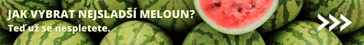 jak vybrat nejsladší meloun?