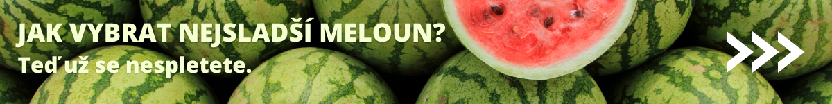 Jak vybrat nejsladší meloun?